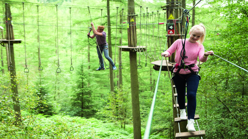 Gloucester Go Ape in the Forest of Dean
